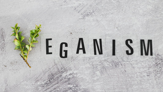 Buying Vegan Fashion: A Comprehensive Guide