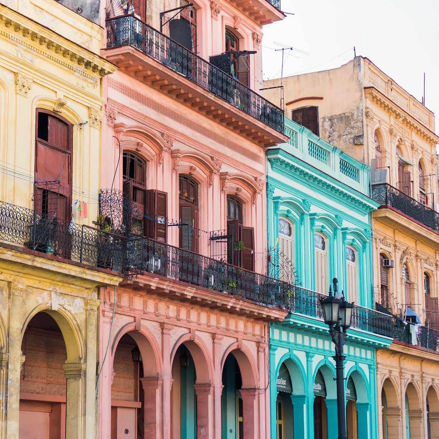 Havana Conditioner Bar