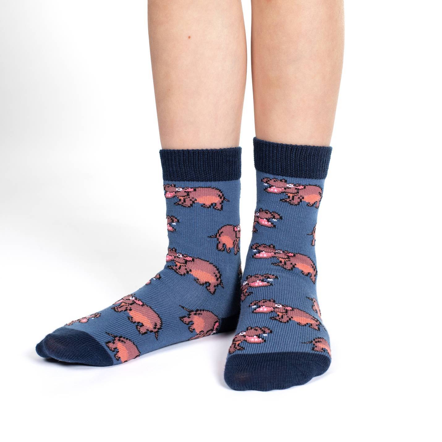 Hippopotamus, Crocodiles, and Dinosaurs Baby/Kids Socks 3pk