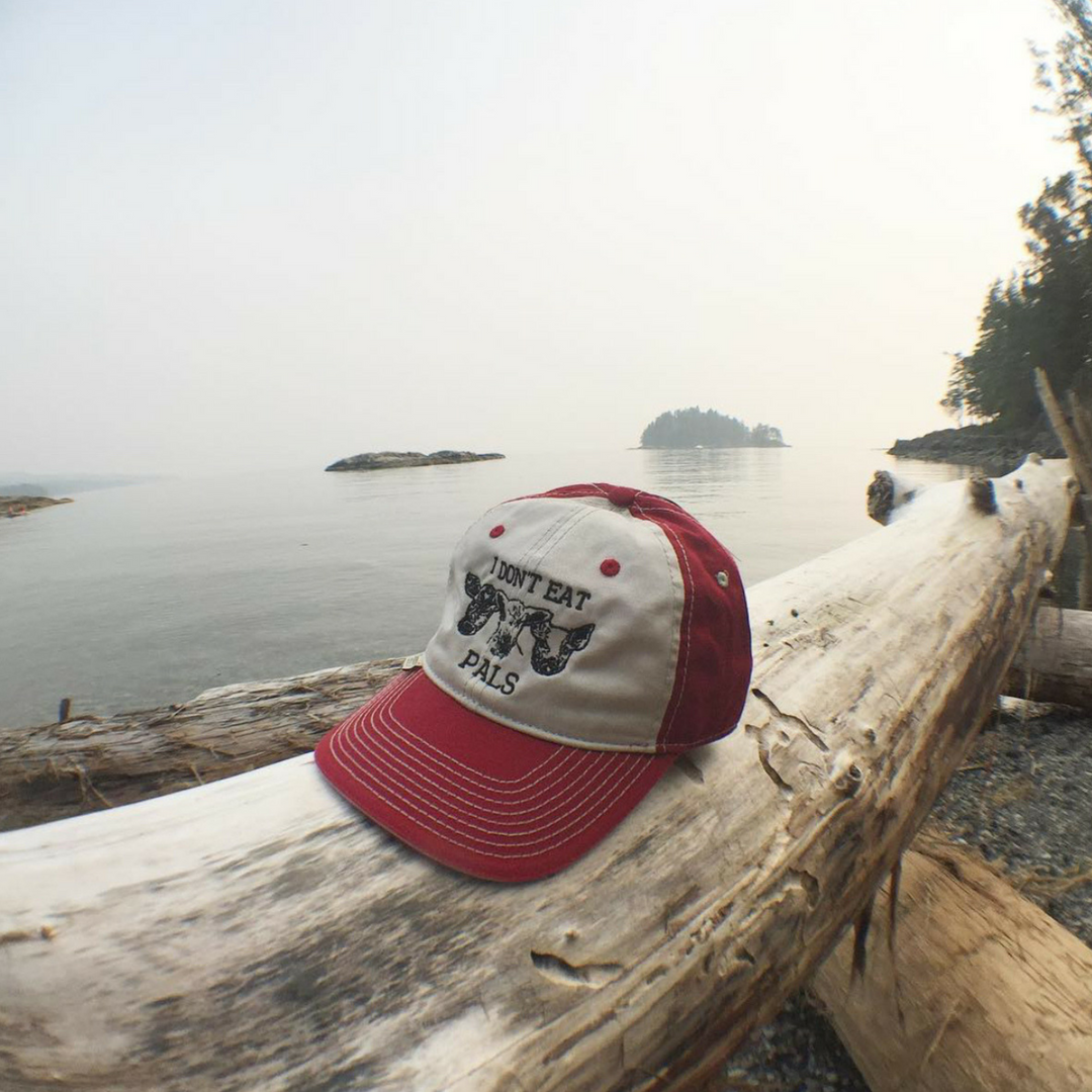 I Don’t Eat Pals Baseball Cap - The Grinning Goat