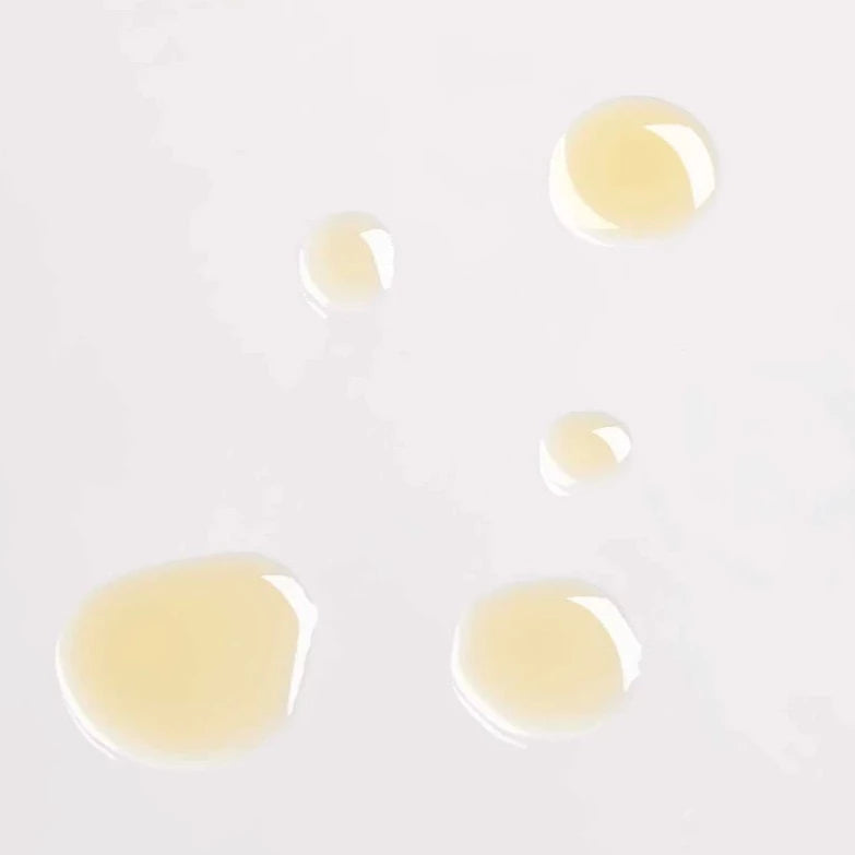 Rosehip + Black Cumin Clarifying Face Oil