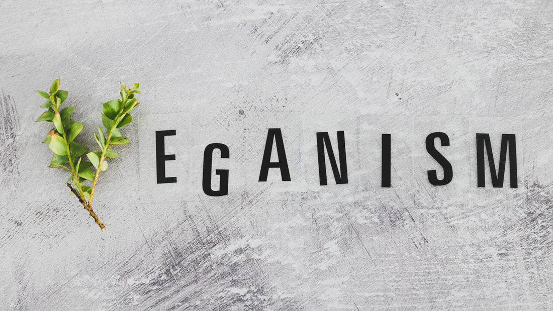 Buying Vegan Fashion: A Comprehensive Guide